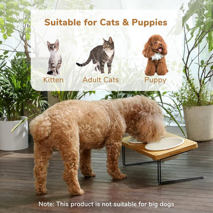 Elevated Cat Ceramic Bowls, Small Dog 15° Tilted Raised Food Feeding Dishes, Solid Bamboo Water Stand Feeder Set for Cats and Puppy